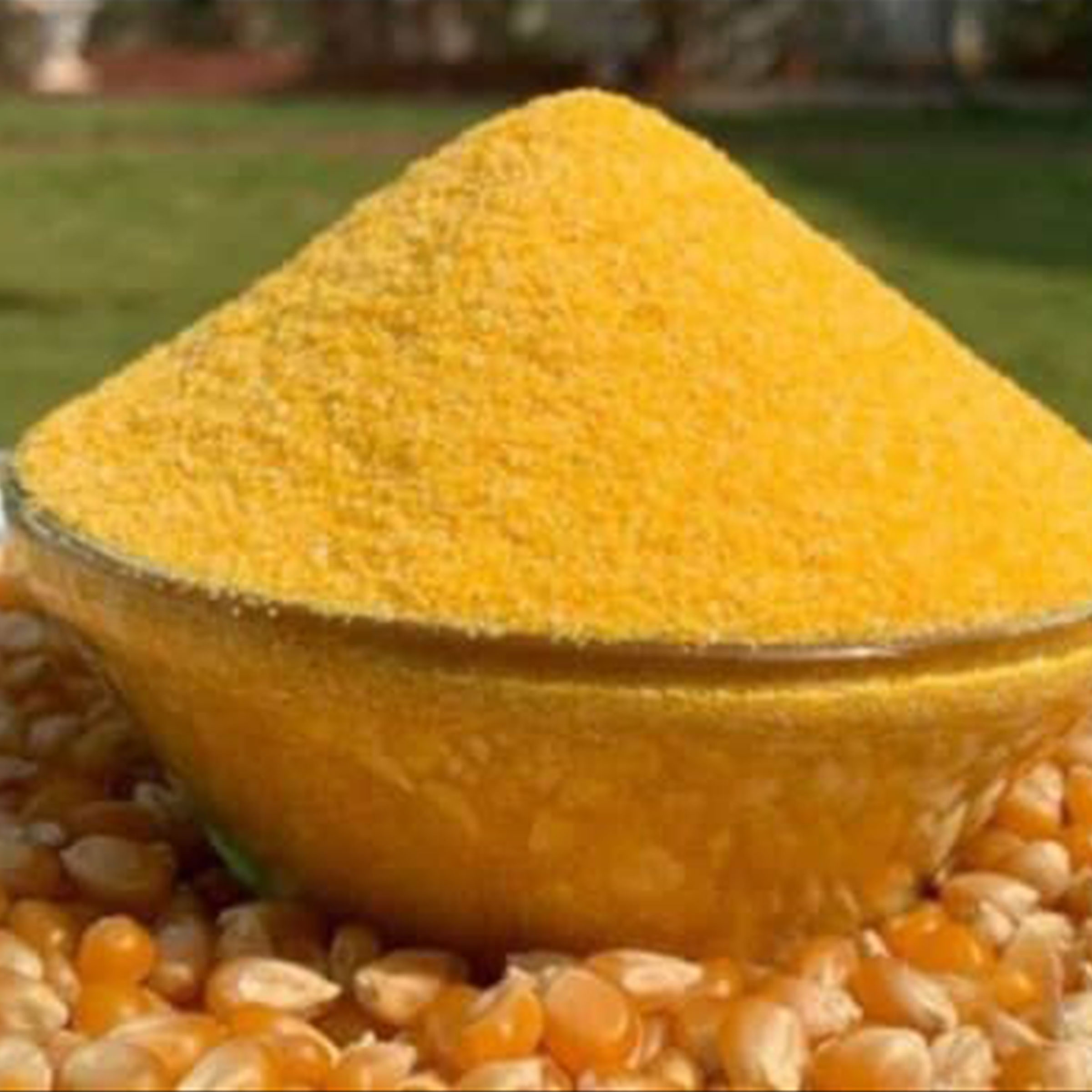 Crushed Maize, finely crushed grains for livestock feed