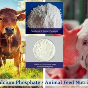 DCP (Dicalcium Phosphate) - Per KG